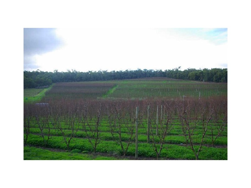 291 Walnut Road, Bickley WA 6076