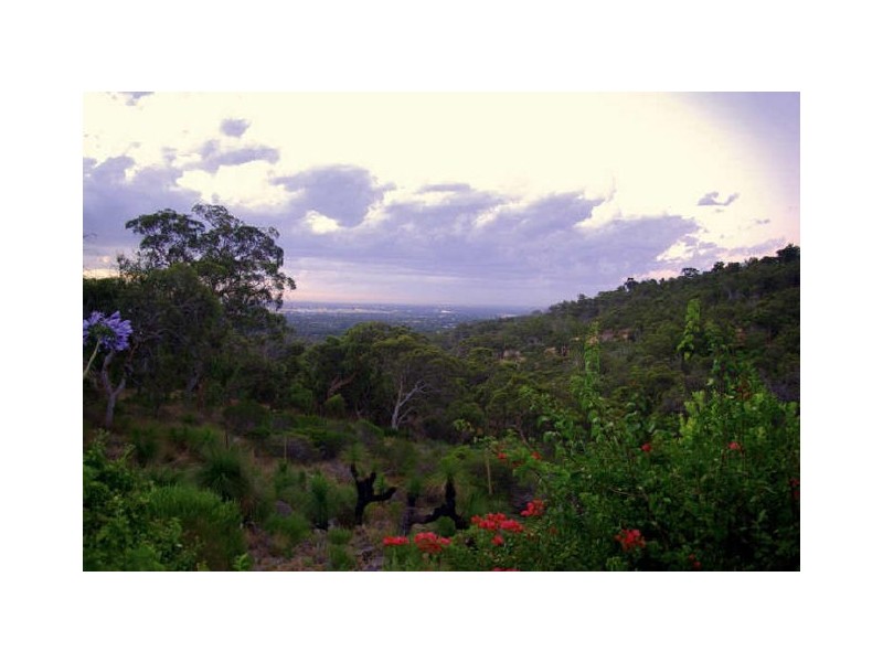 14 Marie Way, Kalamunda WA 6076