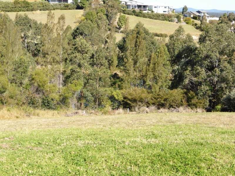 17 Lorikeet Way, Tallwoods Village NSW 2430