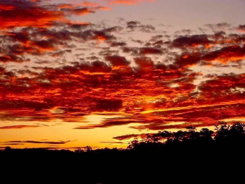 83 Coastal View Drive, Tallwoods Village NSW 2430