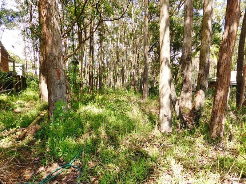 50 Macwood Road, Smiths Lake NSW 2428