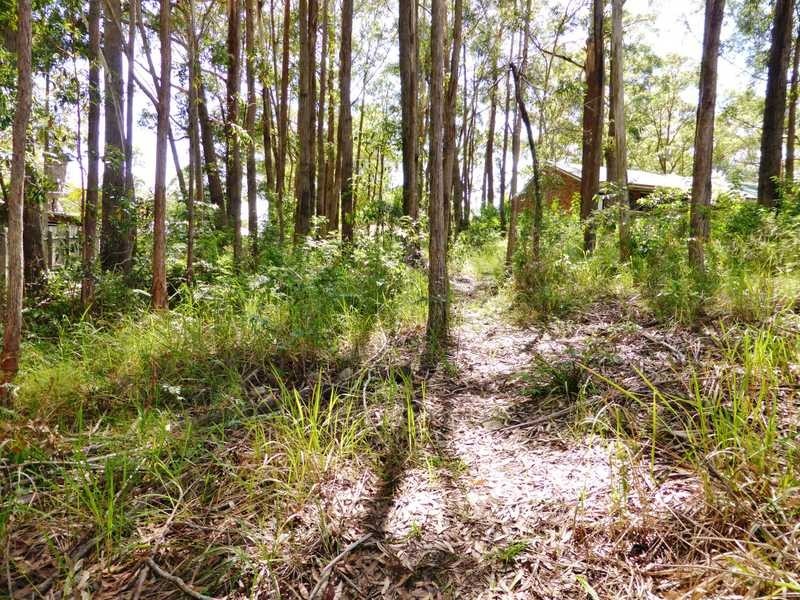 50 Macwood Road, Smiths Lake NSW 2428