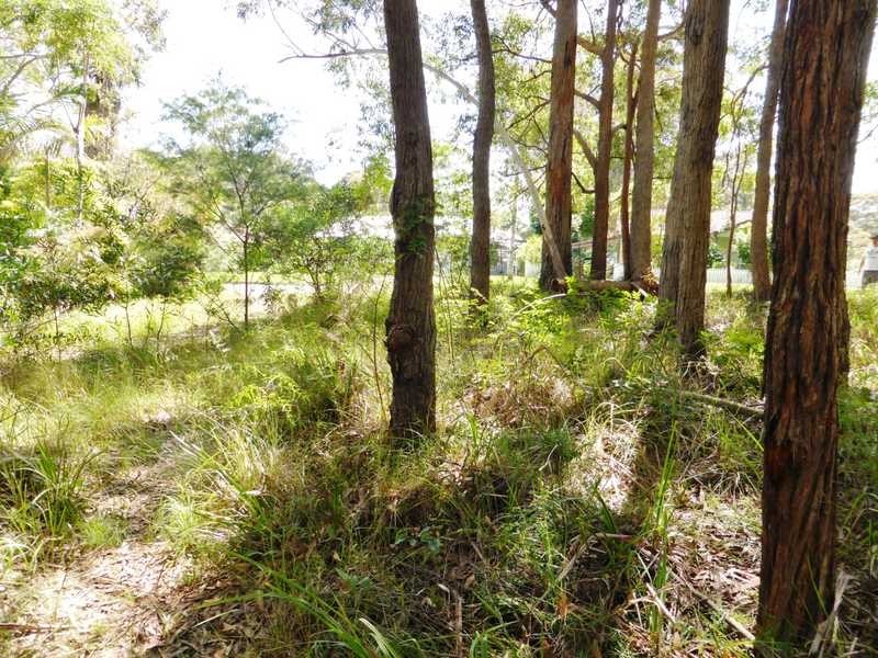 50 Macwood Road, Smiths Lake NSW 2428