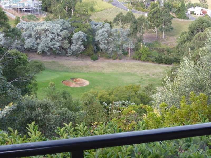 67 Hilltop Parkway, Tallwoods Village NSW 2430