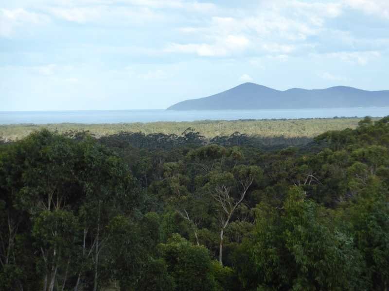 67 Hilltop Parkway, Tallwoods Village NSW 2430