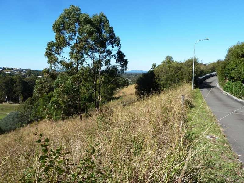 3 Royal Troon Avenue, Tallwoods Village NSW 2430