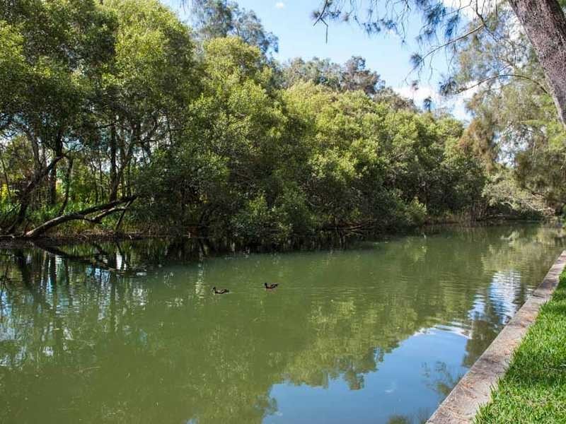 9 Hibiscus Place, Tuncurry NSW 2428