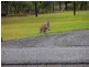 33 Heather Close Highlands Estate, Failford NSW 2430