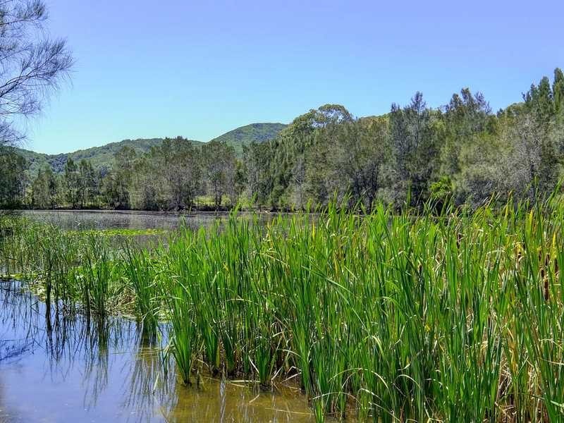 88 Myall Drive, Forster NSW 2428