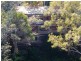 53 Green Point Drive, Green Point NSW 2428