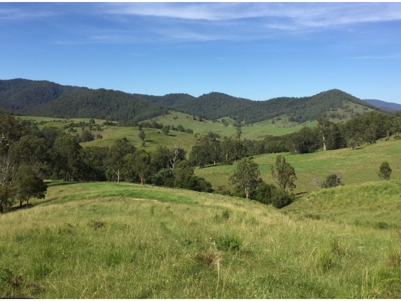 48 Kerriki Forest Road, Wingham NSW 2429