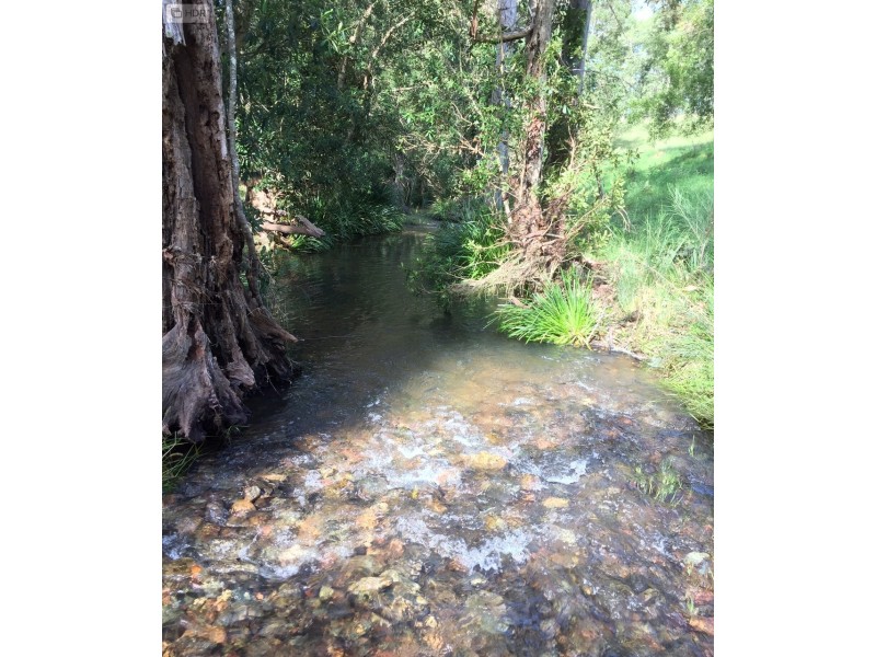 48 Kerriki Forest Road, Wingham NSW 2429