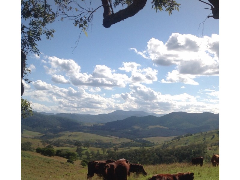 48 Kerriki Forest Road, Wingham NSW 2429