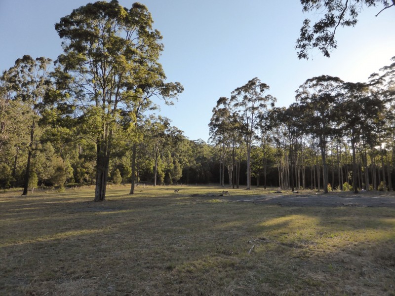 54 Mahogany Road, Coolongolook NSW 2423