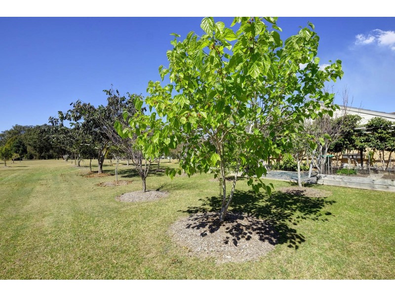 74 Bullocky Way, Failford NSW 2430