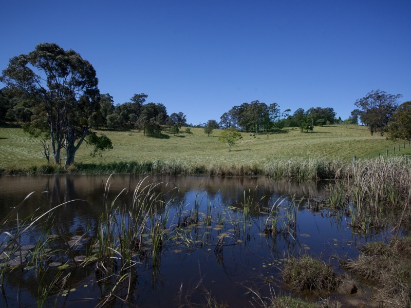 91 Cusack Lane, Nabiac NSW 2312