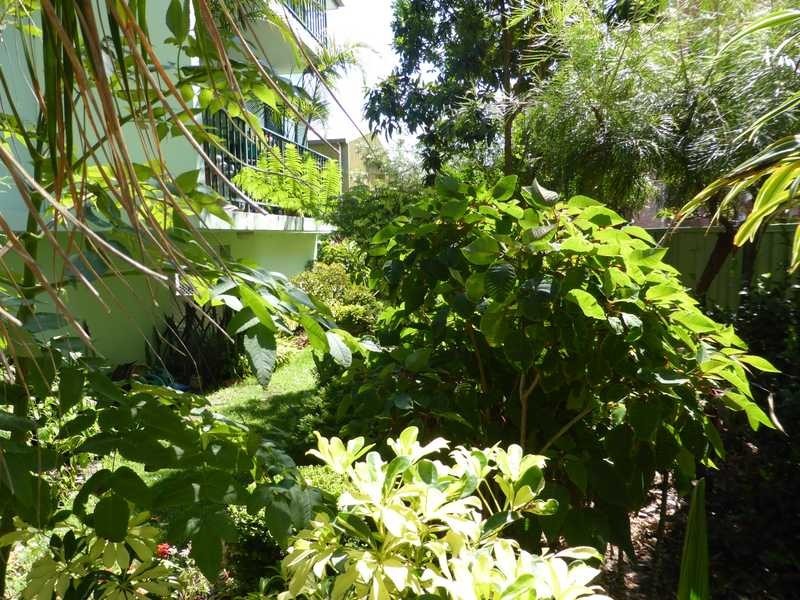 8/3 Lake Street, Tuncurry NSW 2428