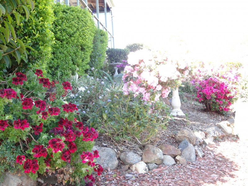 166 Bunyah Road, Nabiac NSW 2312