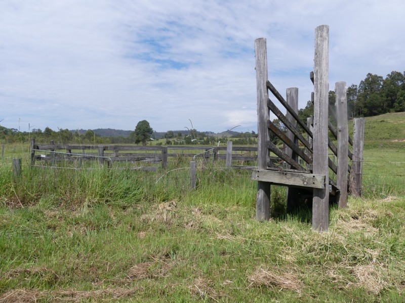 1371 Wang Wauk Road, Dyers Crossing NSW 2429