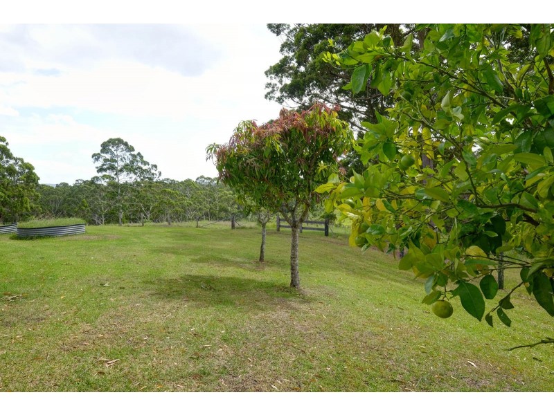 513 Newmans Road, Wootton NSW 2423