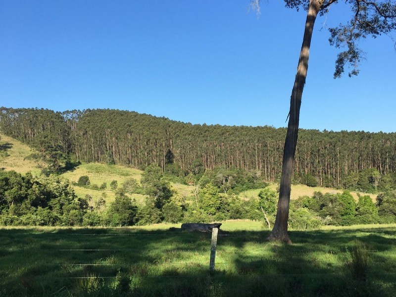Lot 4 Elmar Road, Wootton NSW 2423