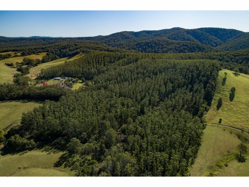 Lot 4 Elmar Road, Wootton NSW 2423