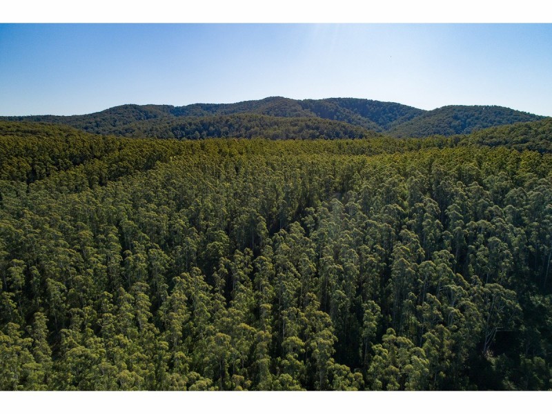 Lot 4 Elmar Road, Wootton NSW 2423