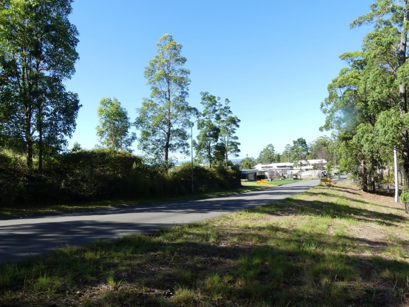 Lot 1/131 Tallwood Drive, Tallwoods Village NSW 2430