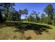 56 Tallwood Drive, Tallwoods Village NSW 2430