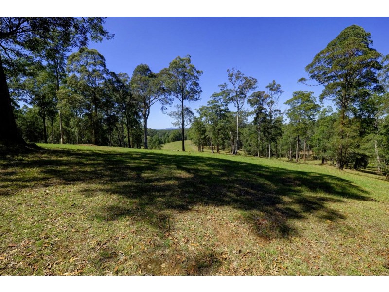 56 Tallwood Drive, Tallwoods Village NSW 2430