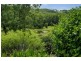 569 Minimbah Road, Nabiac NSW 2312