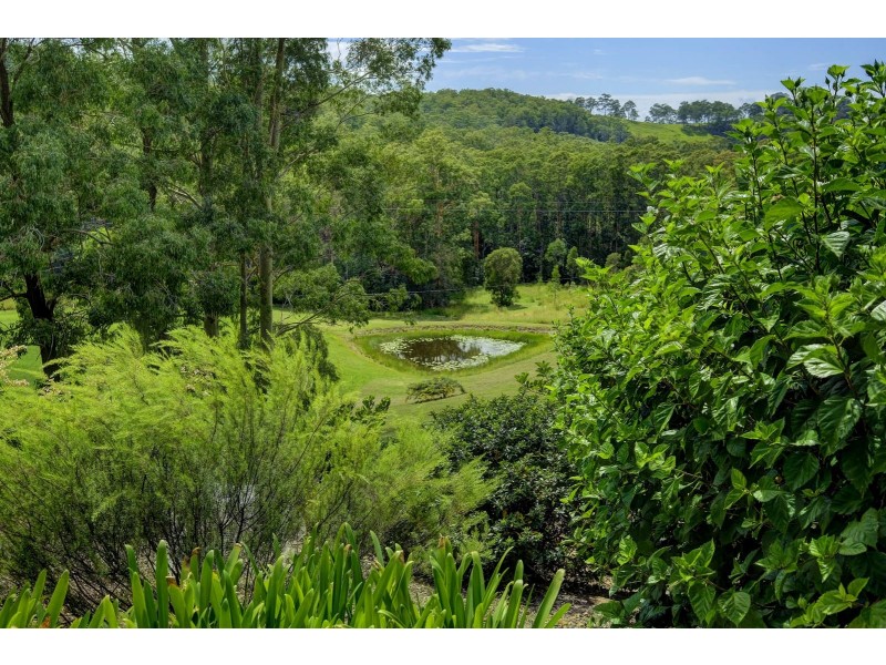 569 Minimbah Road, Nabiac NSW 2312