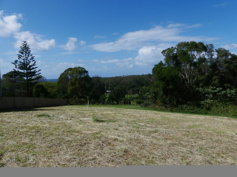 11 Myalup Court, Red Head NSW 2430