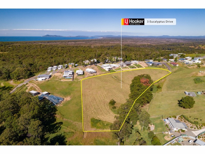 3 Eucalyptus Drive, Tallwoods Village NSW 2430