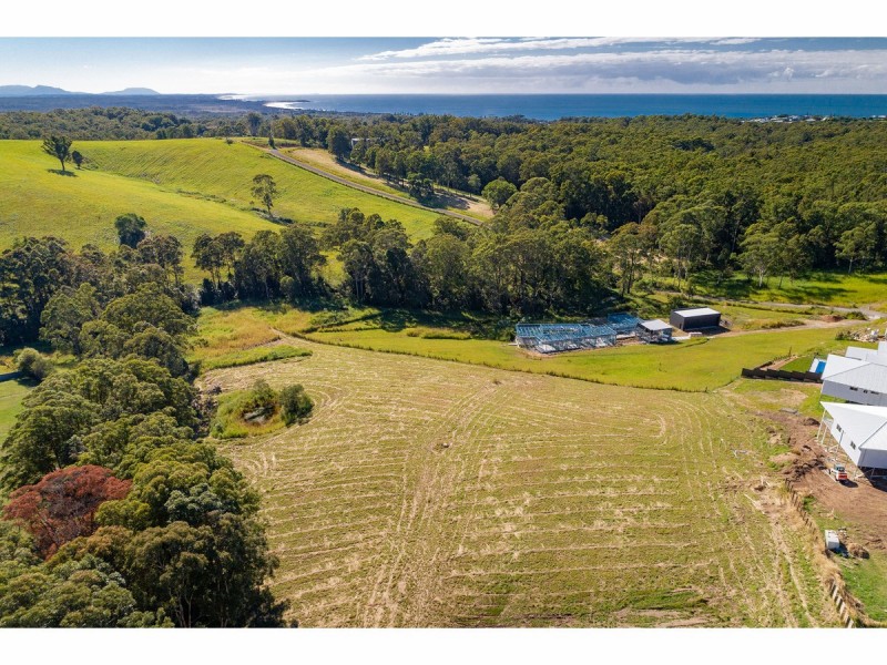 3 Eucalyptus Drive, Tallwoods Village NSW 2430