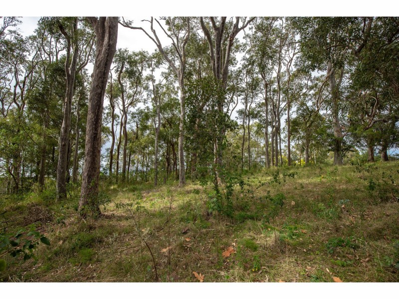 7 Elanora Street, Coomba Park NSW 2428