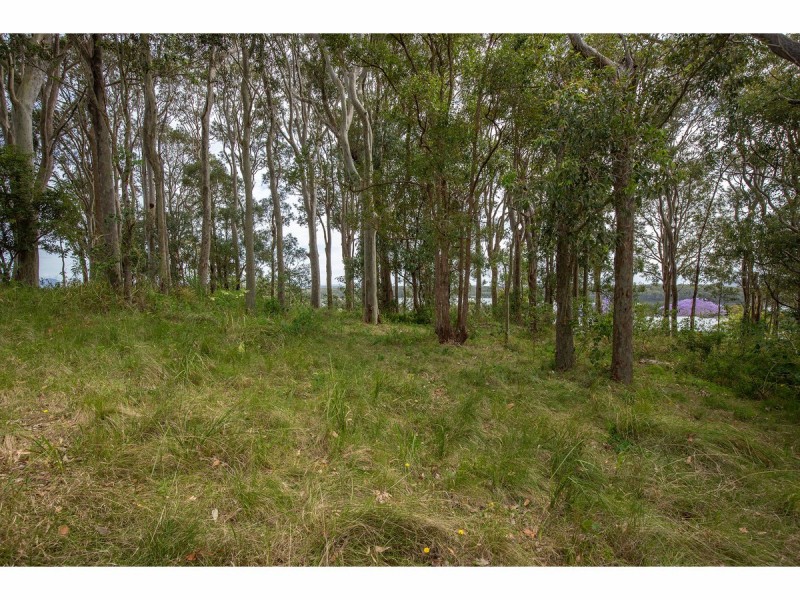 7 Elanora Street, Coomba Park NSW 2428