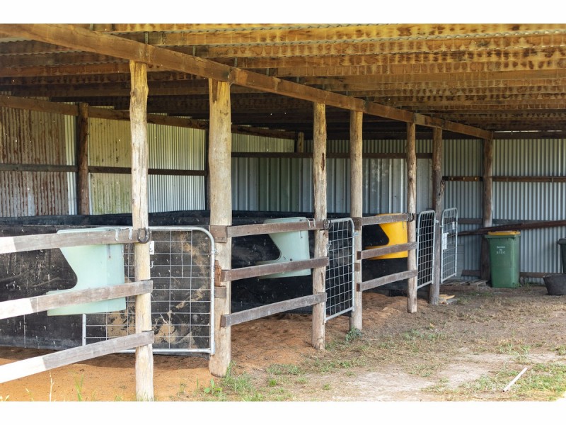 165 Bulby Brush Road, Bunyah NSW 2429
