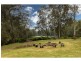 73 Locketts Crossing Road, Coolongolook NSW 2423
