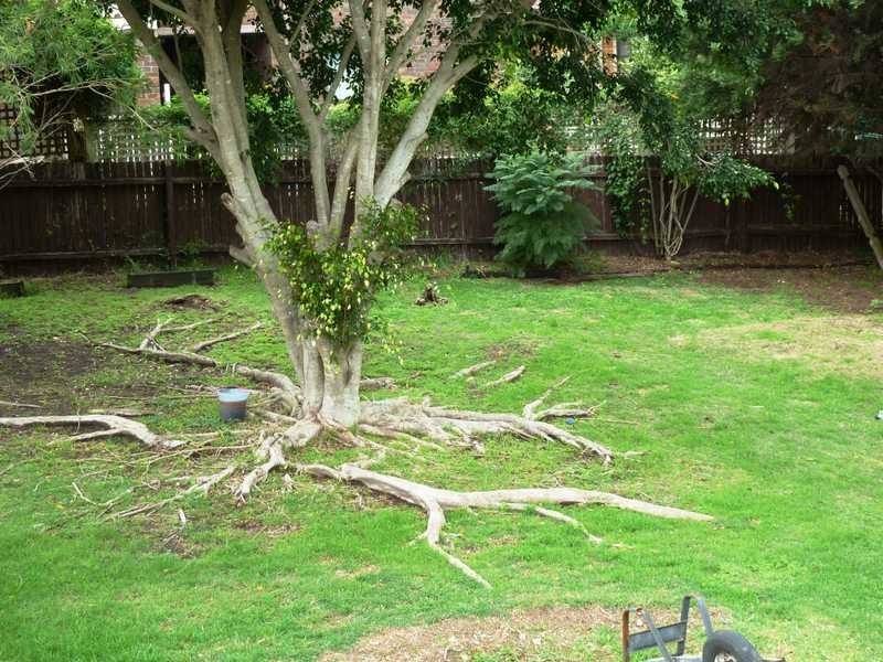 10 Godwin Street, Forster NSW 2428