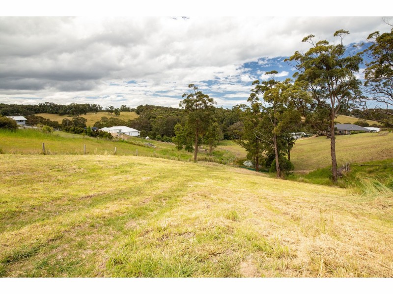 Lot 1/2 Creekline Crescent, Tallwoods Village NSW 2430