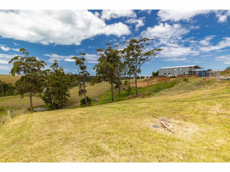 Lot 1/2 Creekline Crescent, Tallwoods Village NSW 2430
