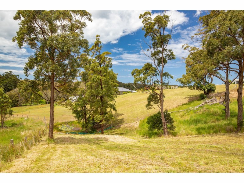 Lot 1/2 Creekline Crescent, Tallwoods Village NSW 2430