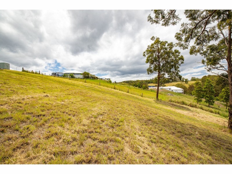 Lot 1/2 Creekline Crescent, Tallwoods Village NSW 2430