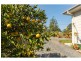 3773 The Bucketts Way, Krambach NSW 2429
