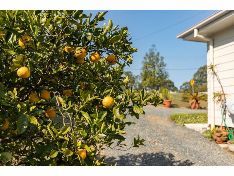 3773 The Bucketts Way, Krambach NSW 2429