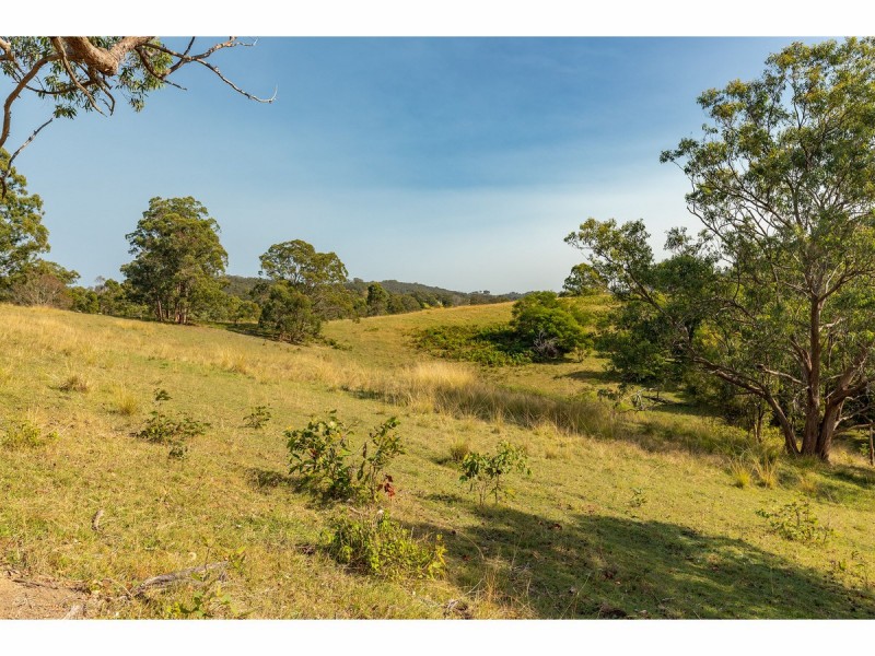 3773 The Bucketts Way, Krambach NSW 2429
