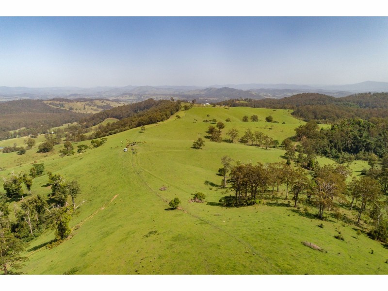 185 Sawyers Creek Road, Willina NSW 2423