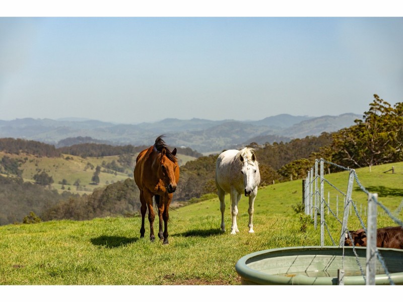 185 Sawyers Creek Road, Willina NSW 2423