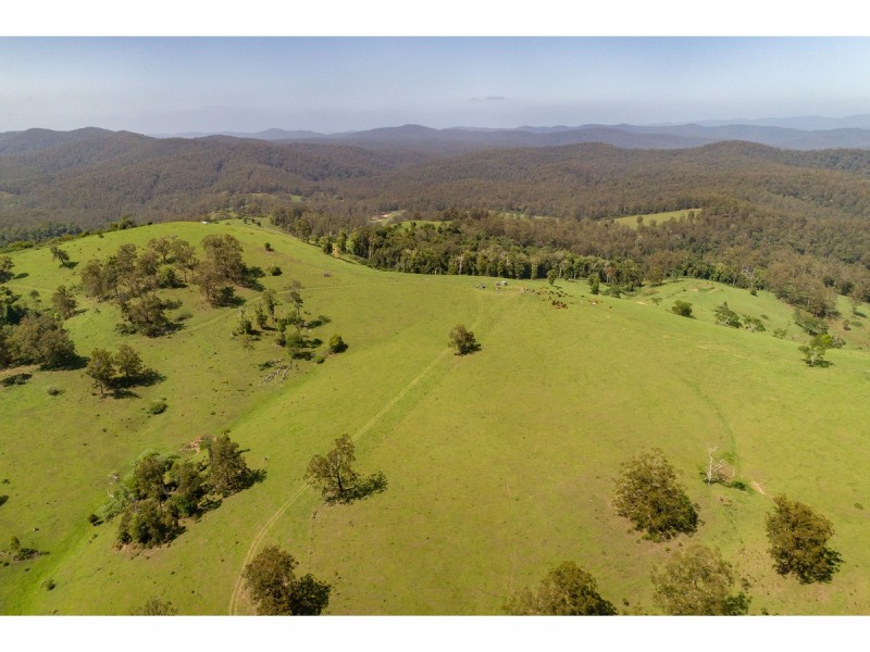 185 Sawyers Creek Road, Willina NSW 2423